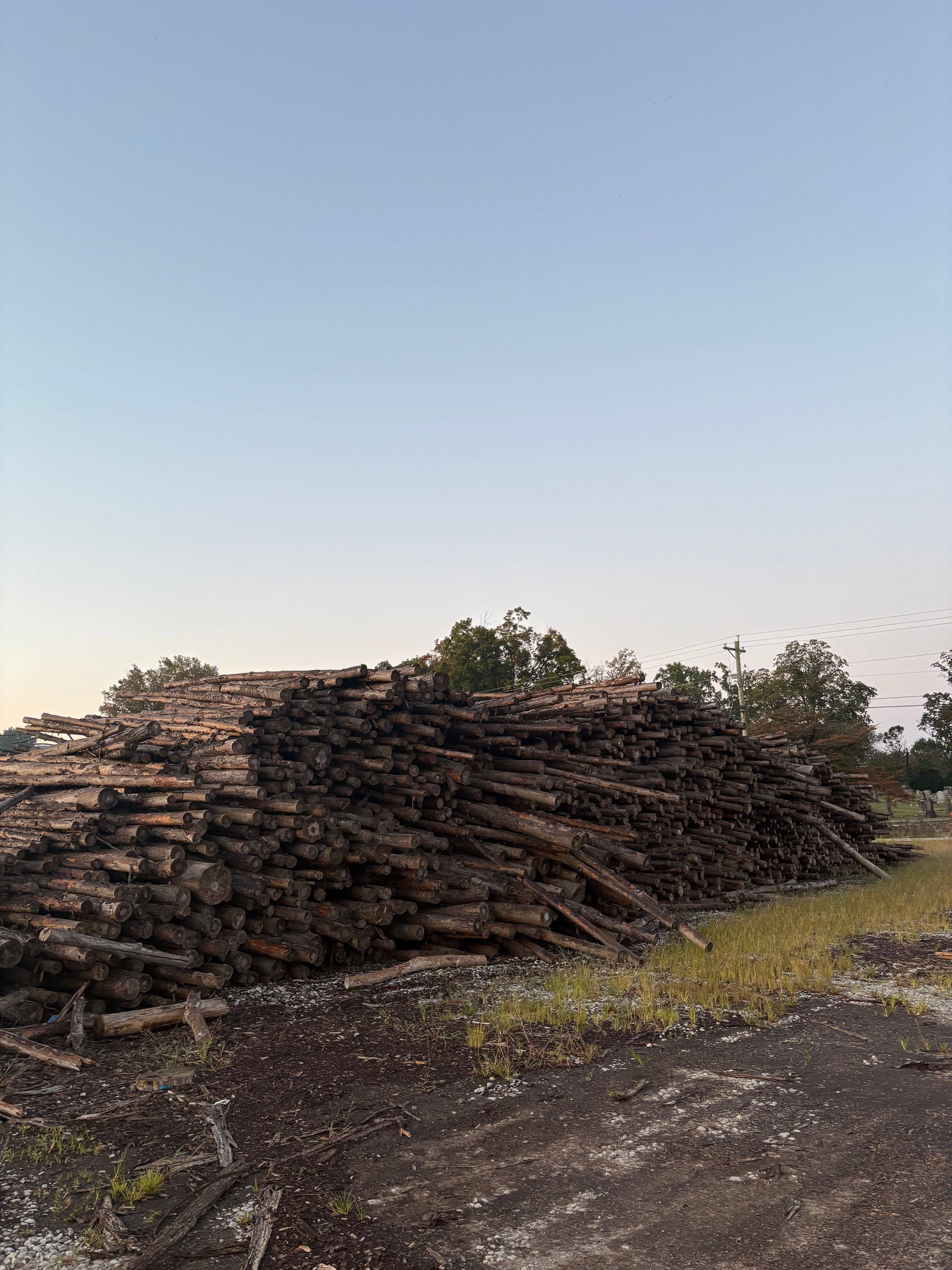 Seasoned Pine Firewood - Delivery or Pickup