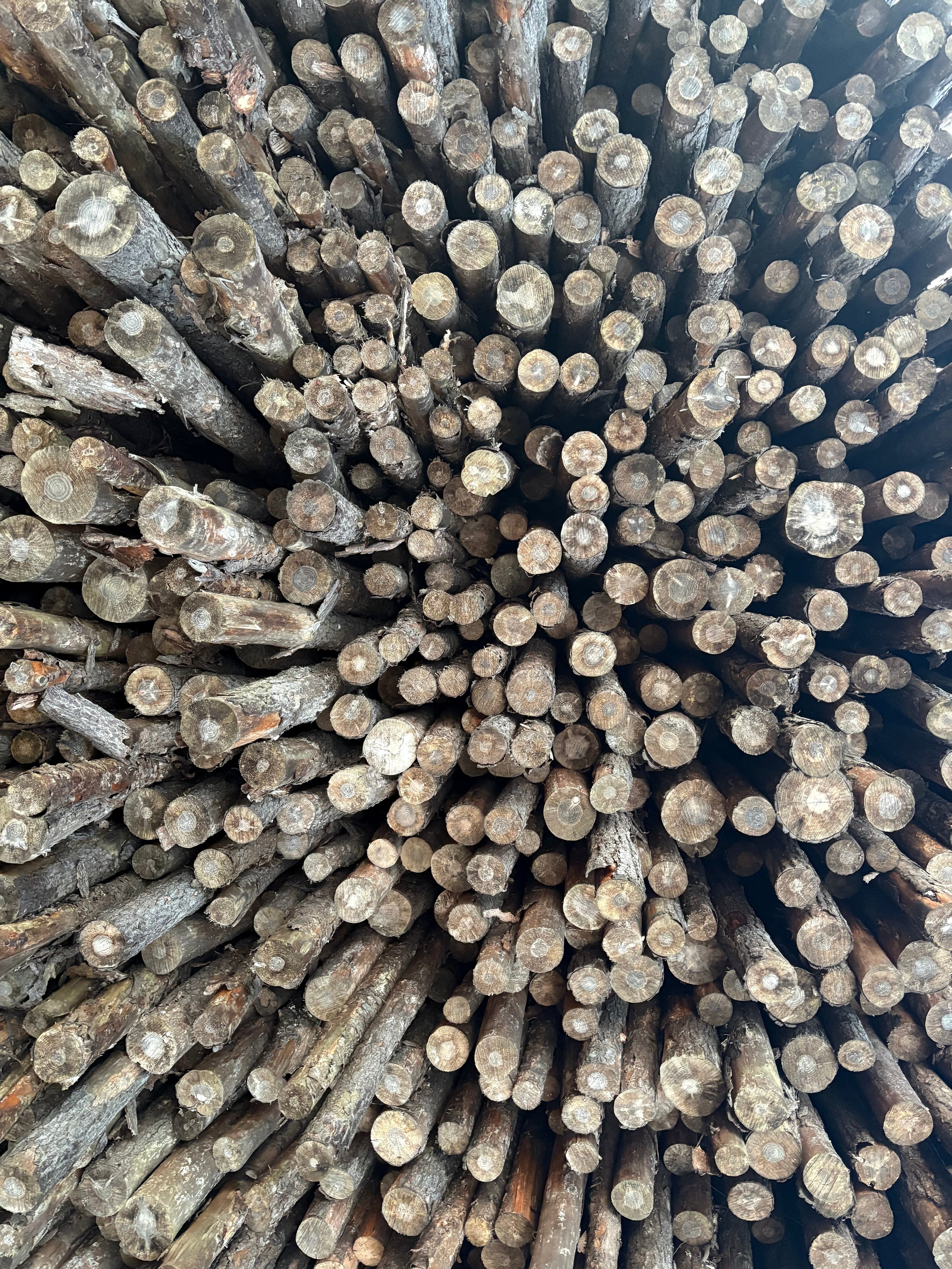 Seasoned Pine Firewood - Delivery or Pickup